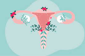 Therapies for Menopause